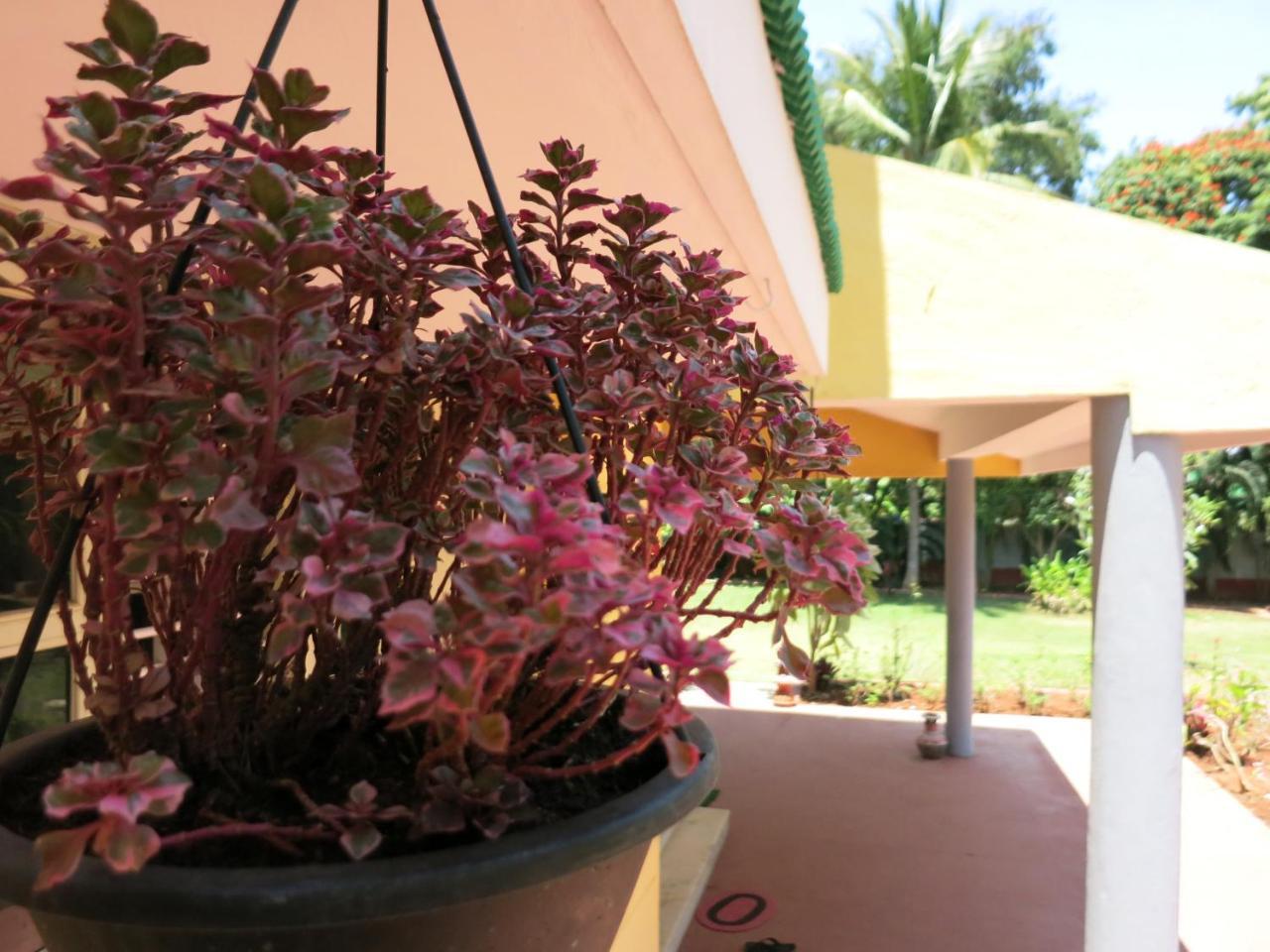 Beehive Commune Hostel *