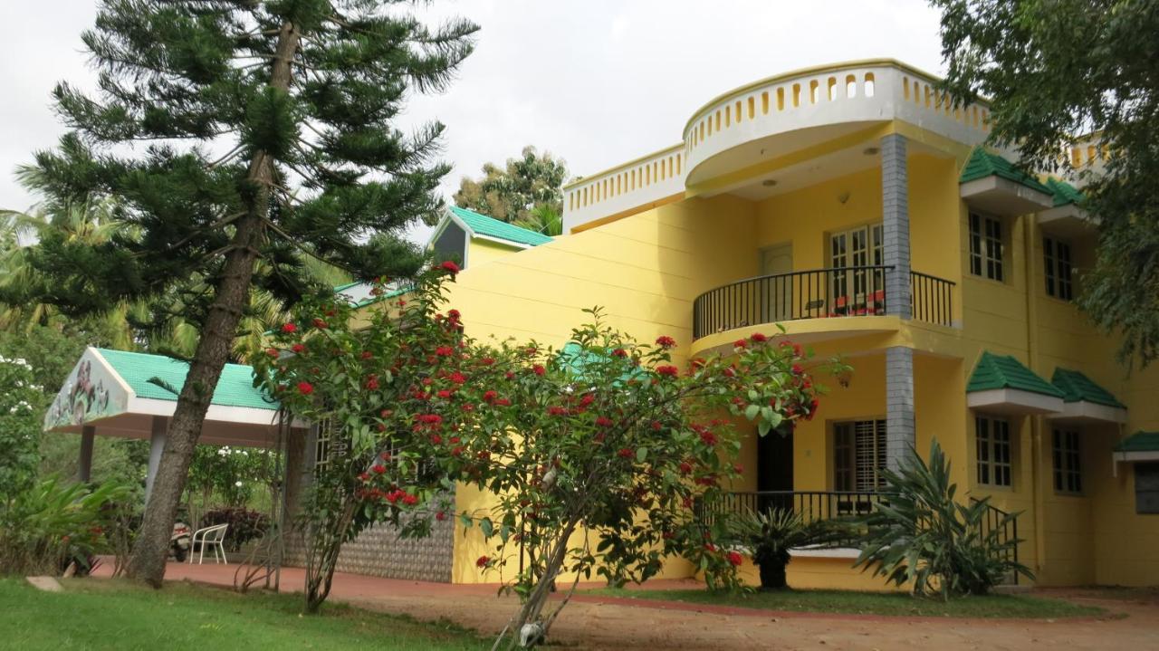 Beehive Commune Hostel *