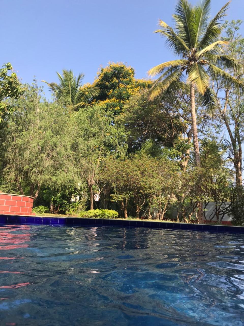 Beehive Commune Hostel Mysore