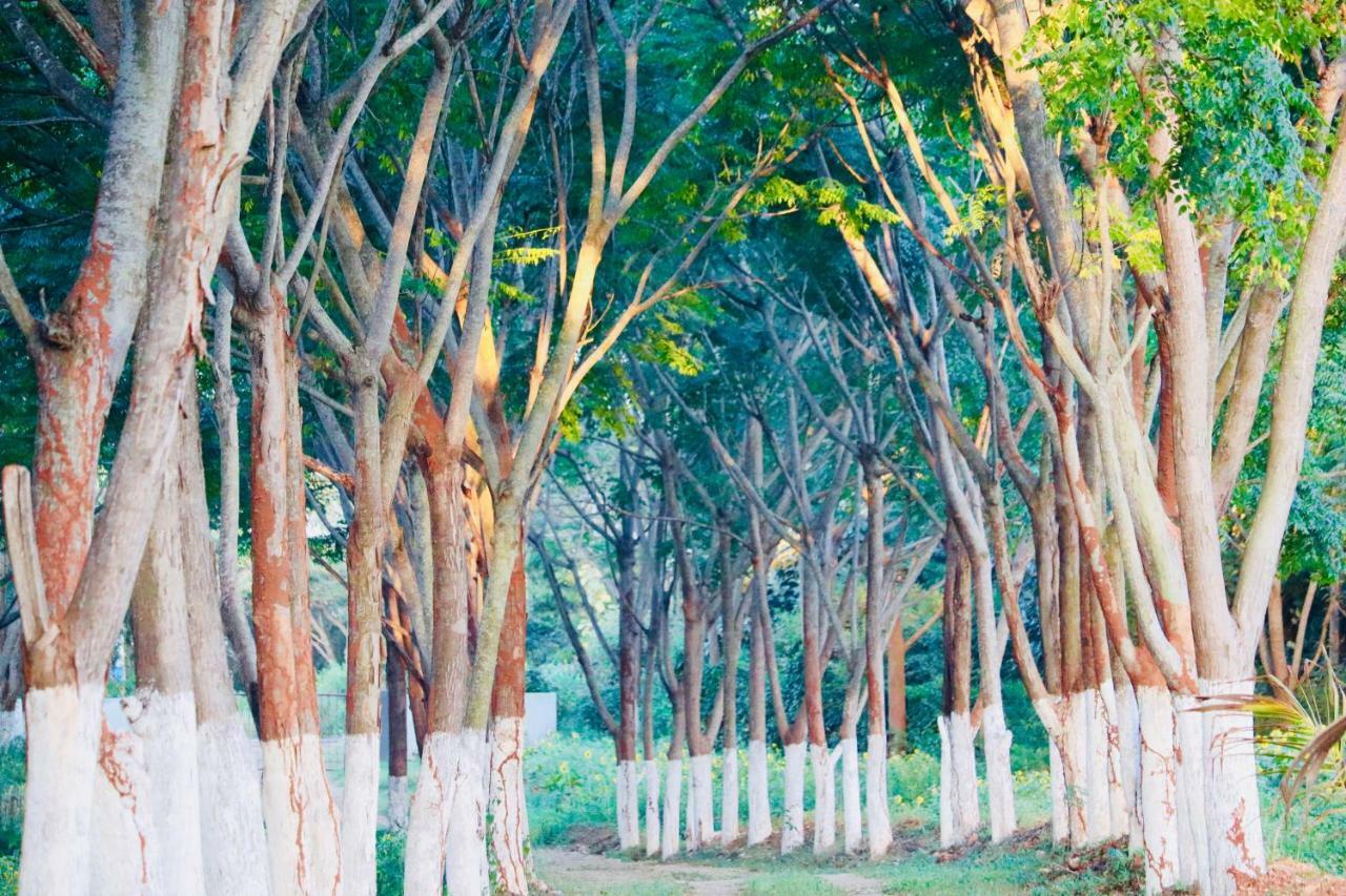 Villa 1000 Silvers -farm Mysore