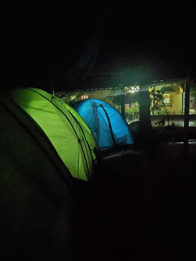 Hostel Beehive Commune