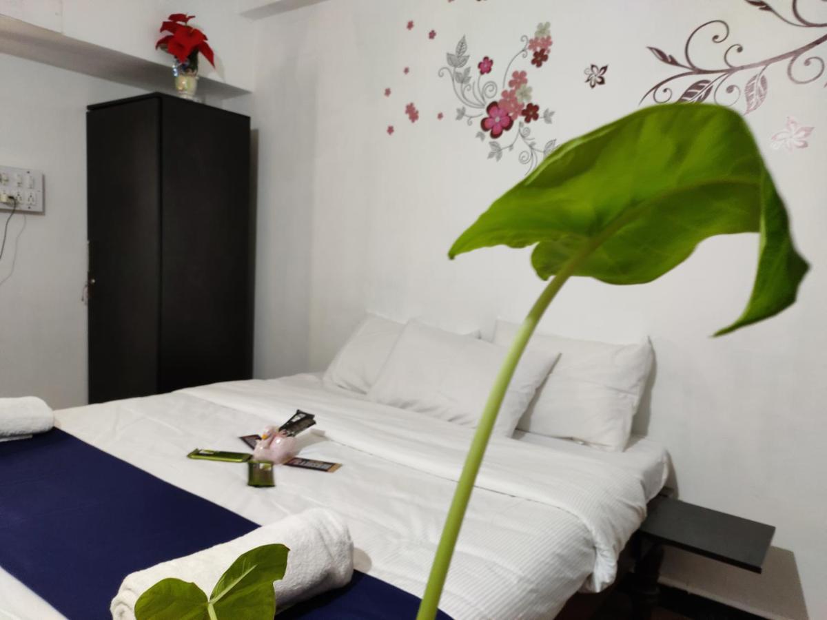 K F International 2* Mysore
