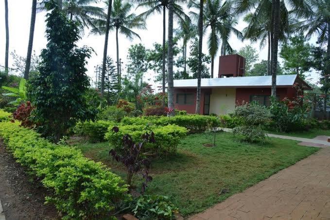 Coco Palms Homestay