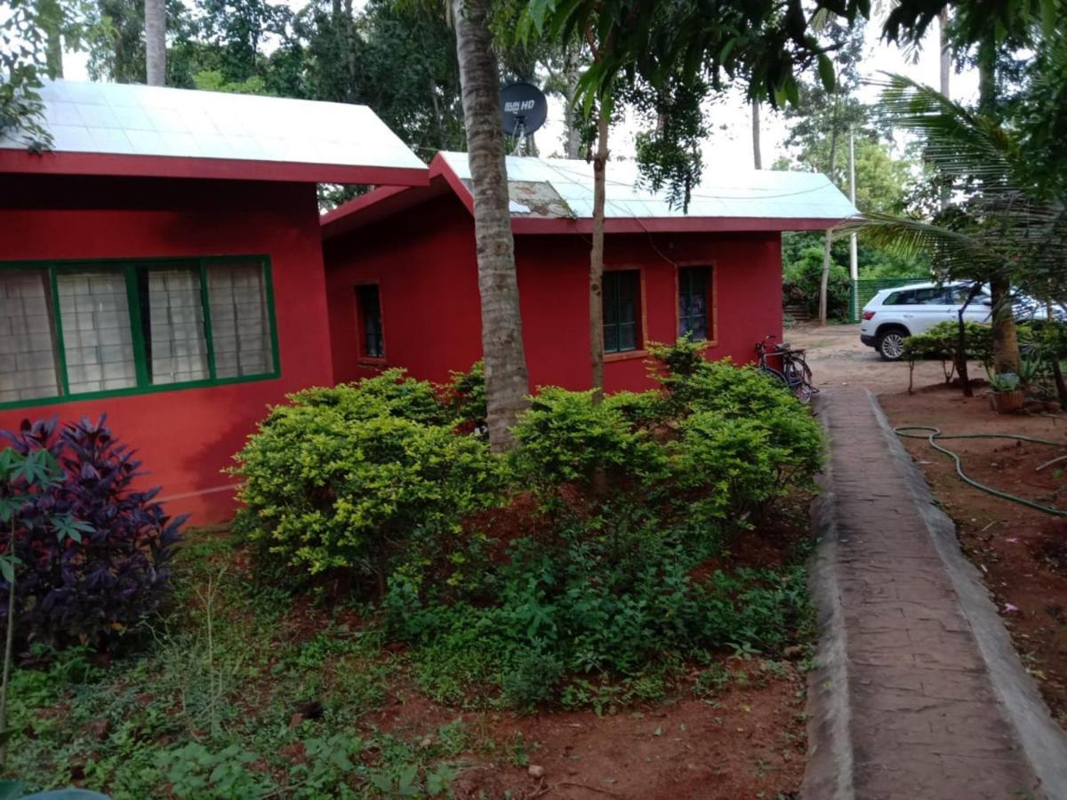 Homestay Coco Palms Homestay *