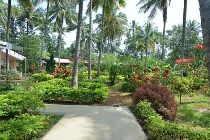 Coco Palms Homestay * Mysore