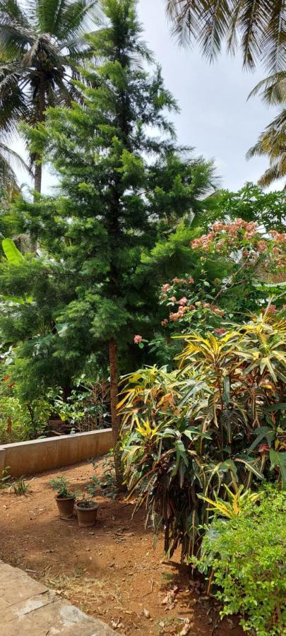 Homestay Coco Palms Homestay Mysore