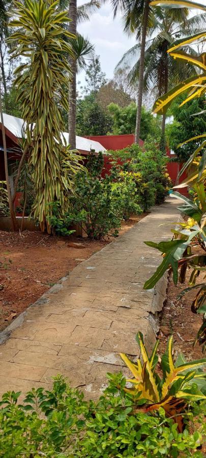 Coco Palms Homestay Homestay *