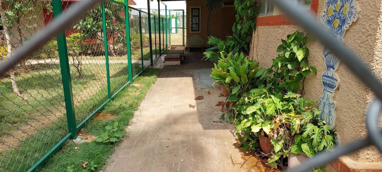 Coco Palms Homestay * Mysore