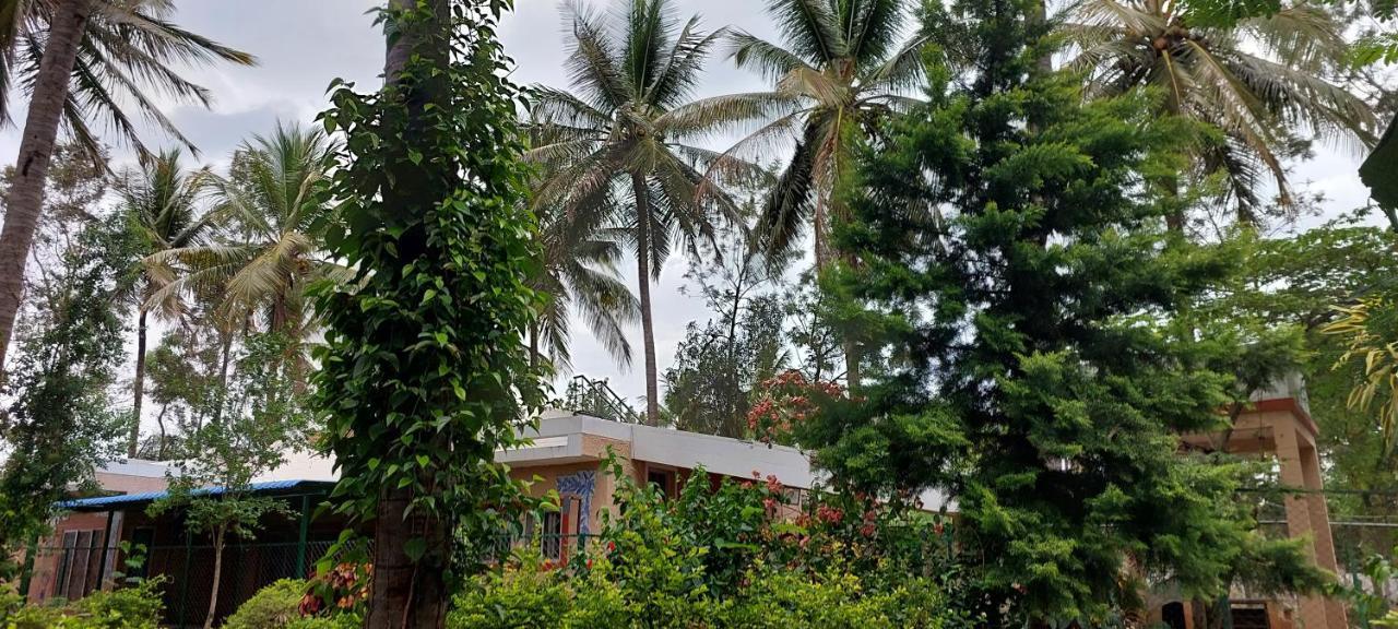 Coco Palms Homestay *