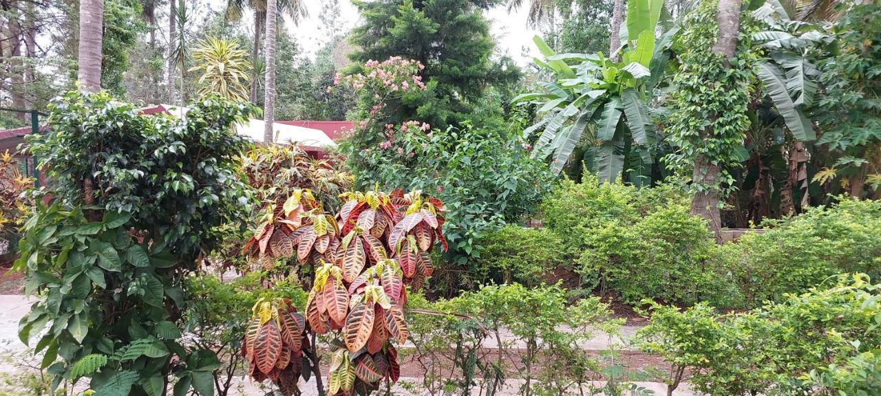 Homestay Coco Palms Homestay