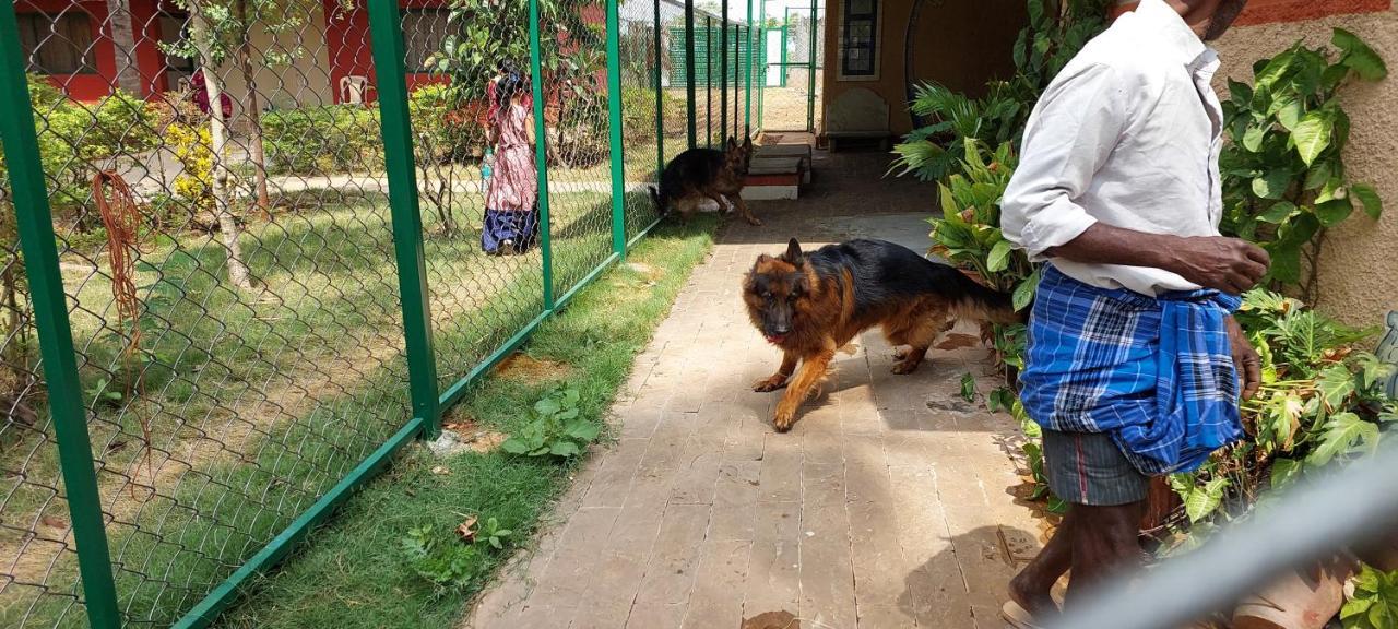 Coco Palms Homestay Mysore