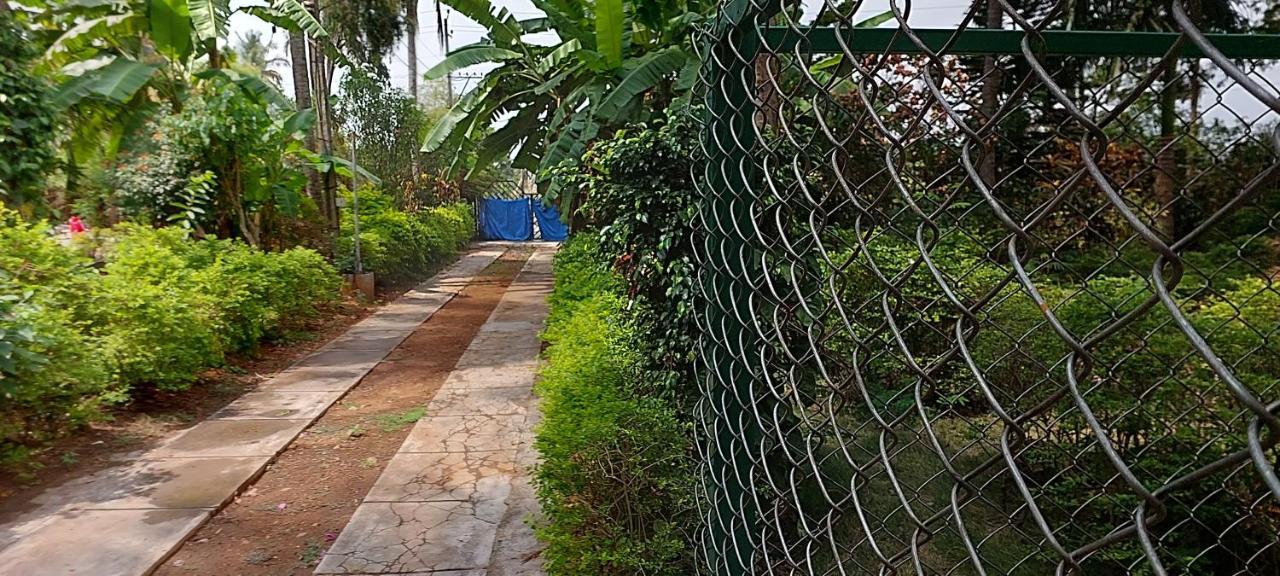 Homestay Coco Palms Homestay Mysore
