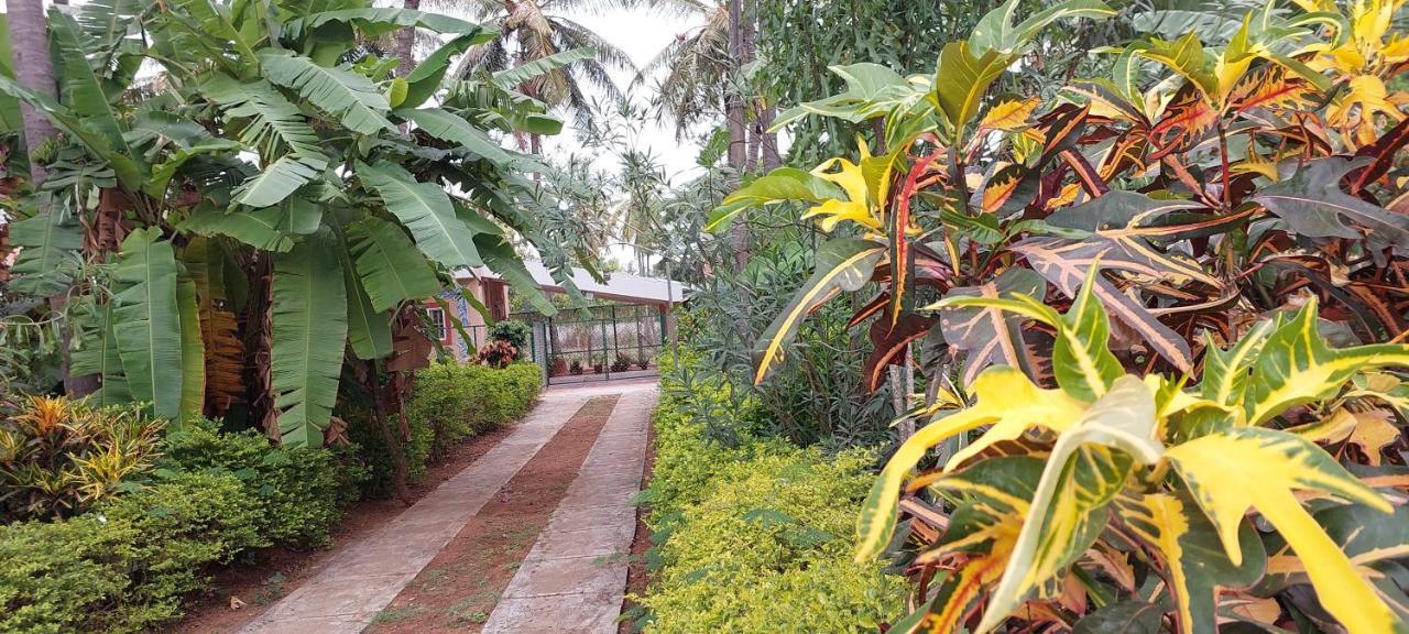 Coco Palms Homestay Homestay Mysore