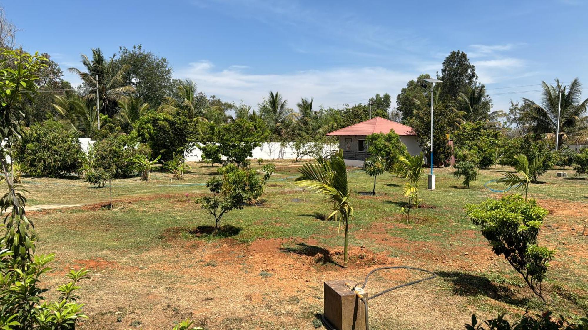 Raj Mysore