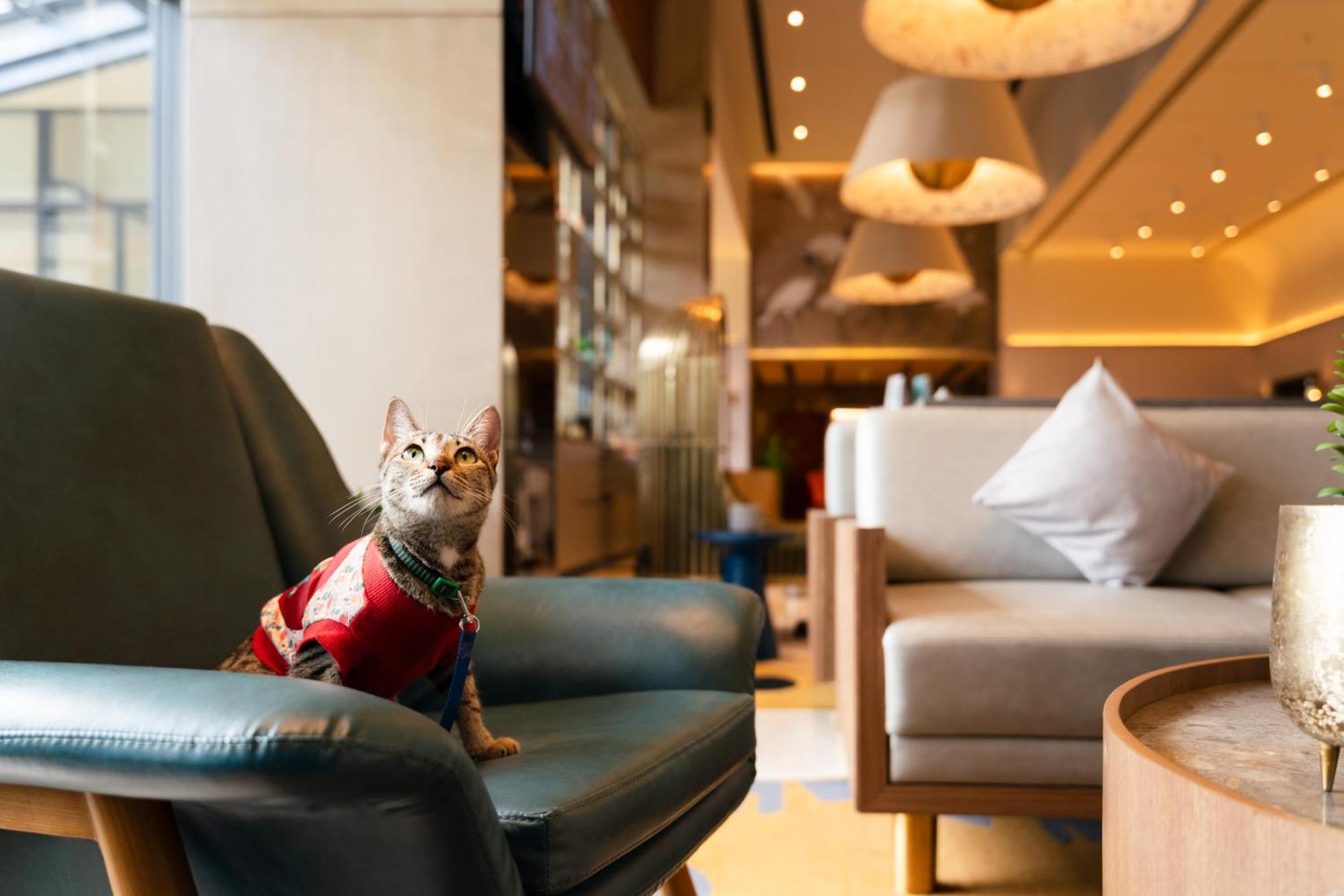 Hotel Ibis Styles Mysore