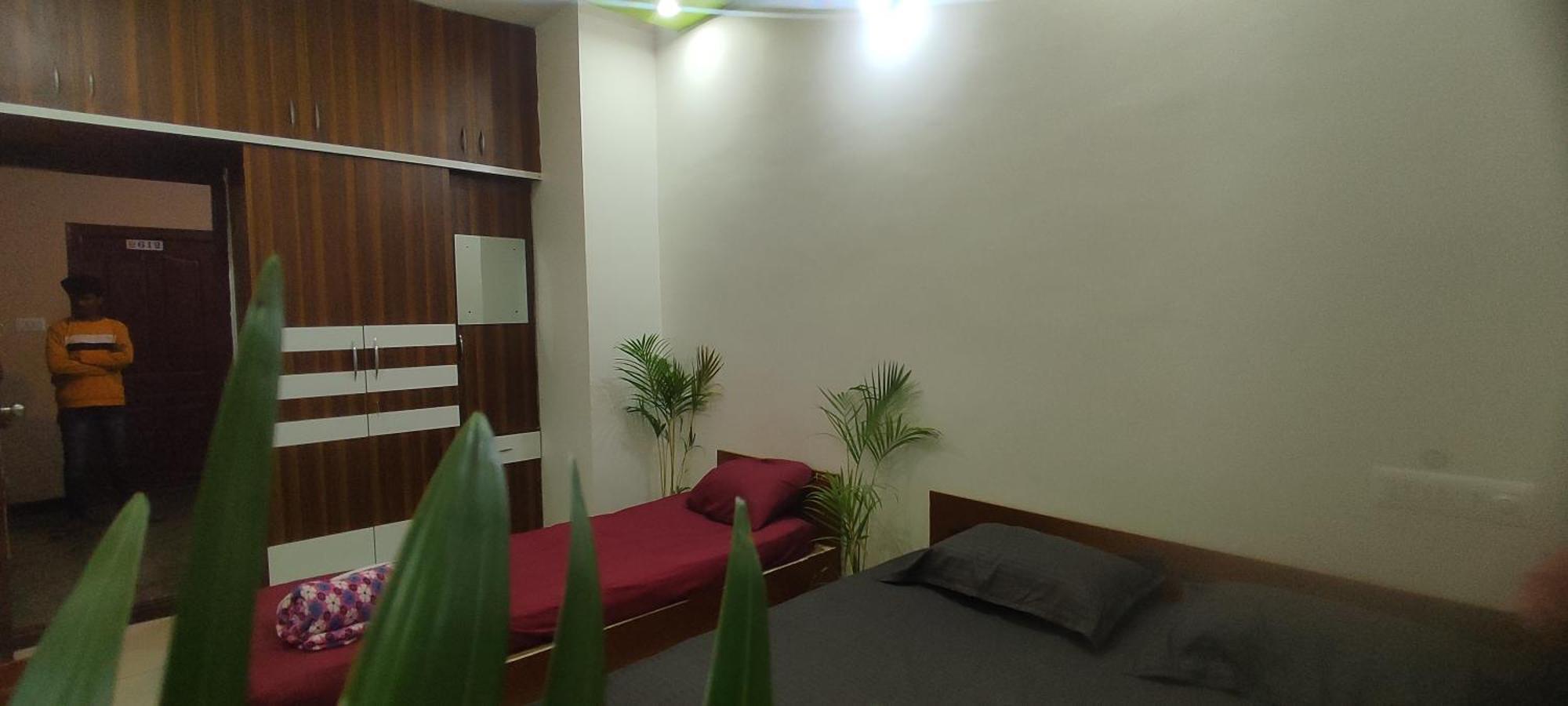 Adh Amilia Nest