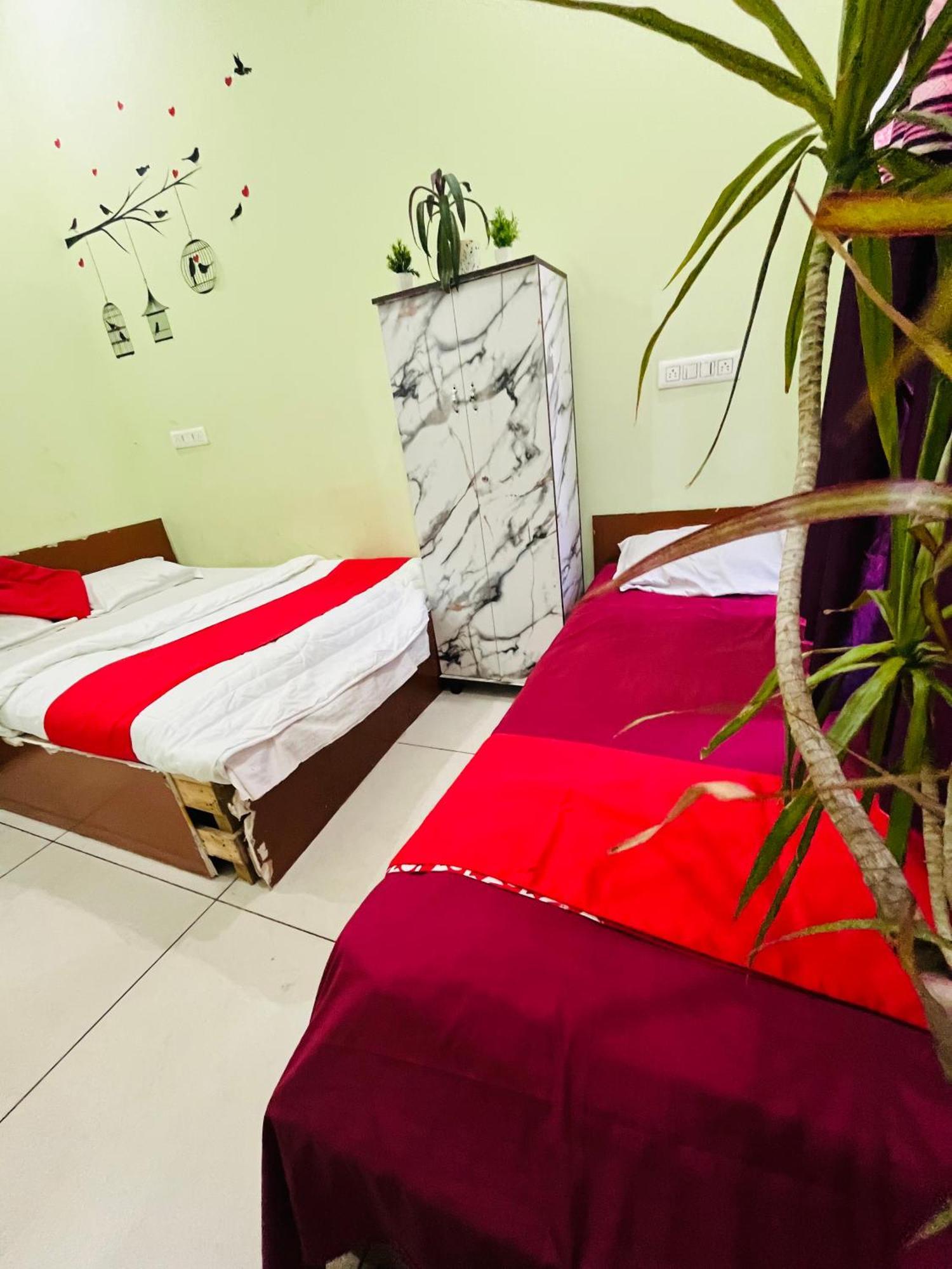 Adh Amilia Nest Mysore