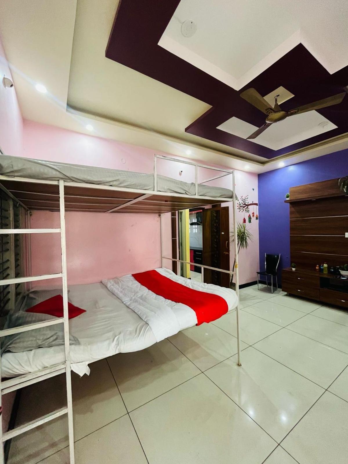 Adh Amilia Nest