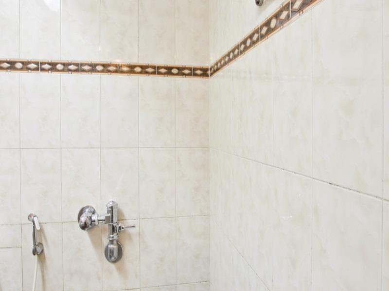 Maurya Palace Hotel Mysore