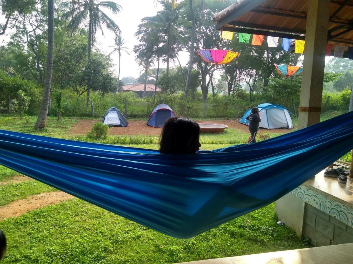 Hammock
